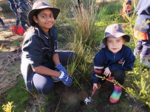 Campbell Primary School Seedling Planting