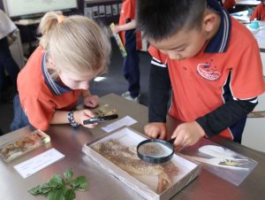 Year 2 Science Campbell Primary School