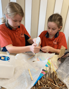 Campbell Primary STEM Activity