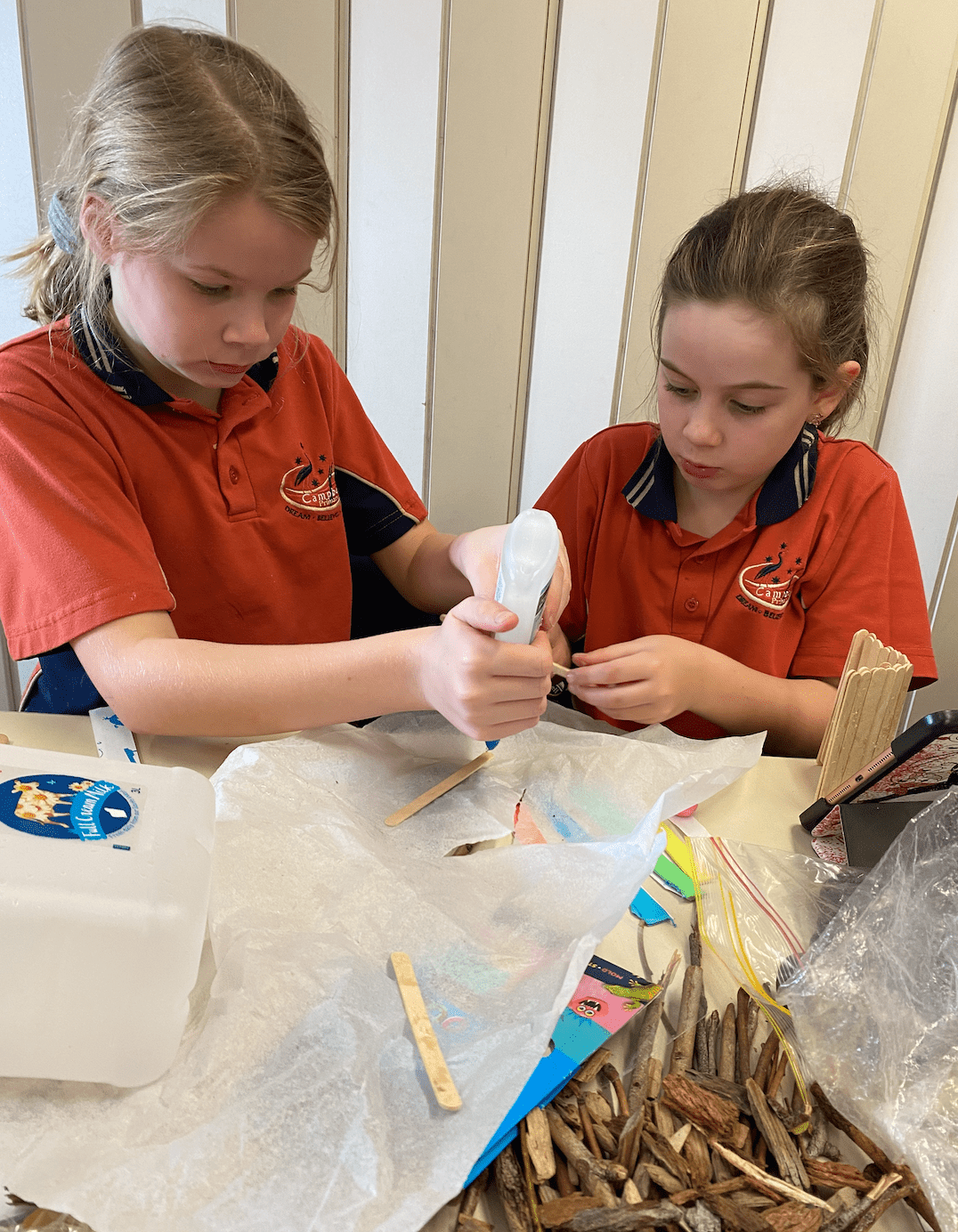 Campbell Primary STEM Activity